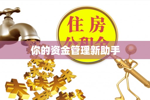 凤岗你的资金管理新助手