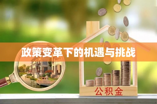 凤岗政策变革下的机遇与挑战