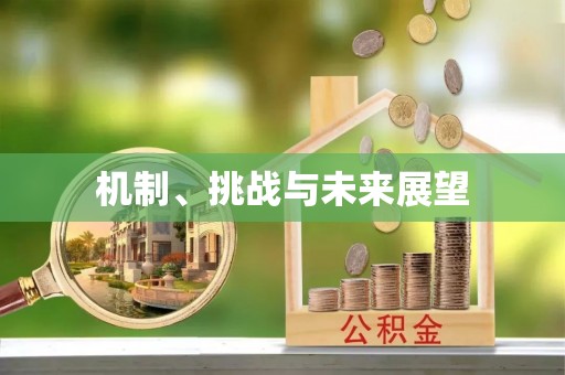 凤岗机制、挑战与未来展望